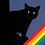 kater_s