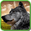 singlwolf